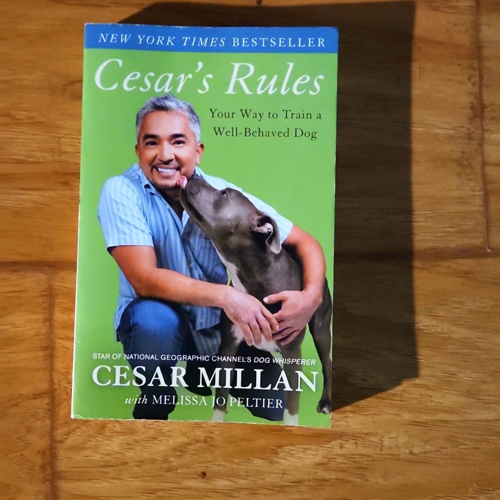Cesar's Rules book